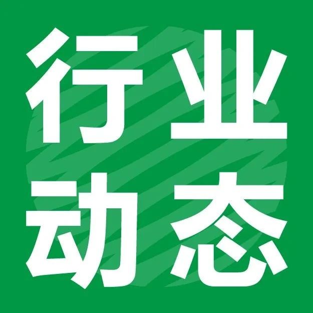 纸浆3D打印取得新进展