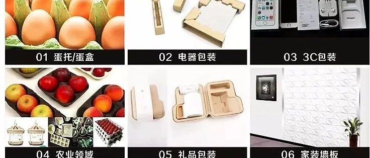 植物纤维模塑使用案例、应用场景全集
